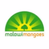 malawi mangoes
