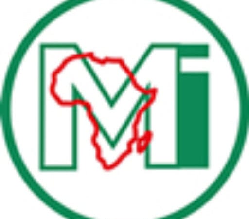 Macroeconomic and Financial Management Institute of Eastern and Southern Africa (MEFMI)