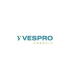 YvesPro Consult