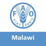 FAO Malawi - Malawi FAO Malawi