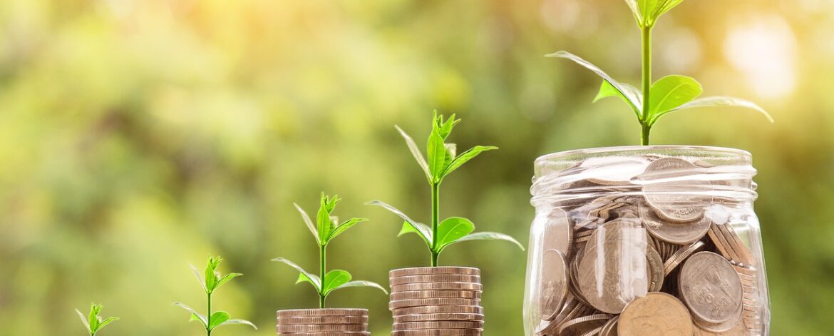 Entrepreneurship in Malawi: From Idea to Successful Business