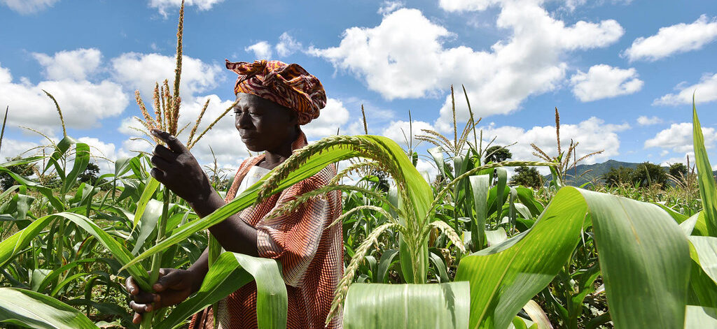Unlocking Social Impact: A Comprehensive Guide to Starting a Social Enterprise in Malawi