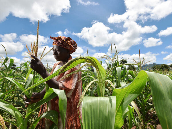 Unlocking Social Impact: A Comprehensive Guide to Starting a Social Enterprise in Malawi