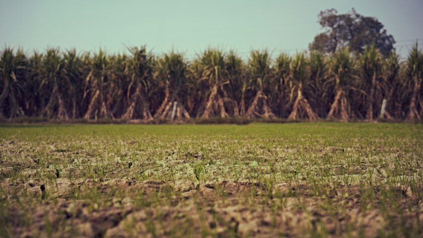 r1x76xarqcy Photo by Ashwini Chaudhary(Monty)