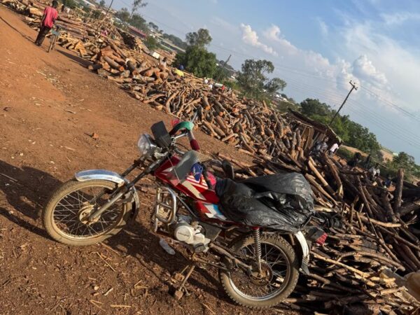 Firewood at Mgona Markert in Area 25 Lilongwe District Malawi