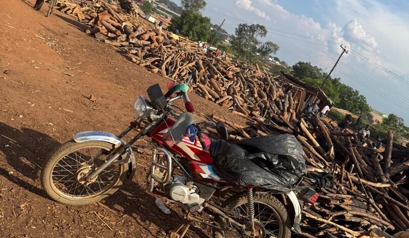 Firewood at Mgona Markert in Area 25 Lilongwe District Malawi