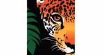 Rainforest Trust