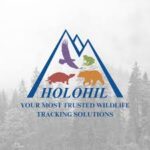 Holohil Malawi | Ntchito.com