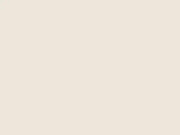 blank - cream white canvas