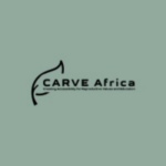 CARVE Africa (Creating Accessibility for Reproductive Values and Education)