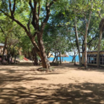 image 2025 04 03 134312583 - Malawi M’buta Tourist Lodge