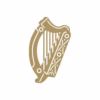 Department of Foreign Affairs and Trade Ireland