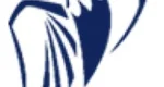 Aleksandr Consulting