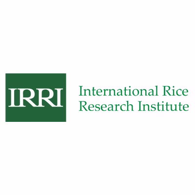 International Rice Research Institute IRRI