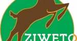 Ziweto Enterprises Limited