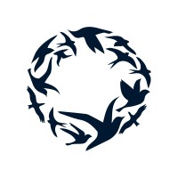 Our Collective Practice