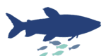 FISD Limited Company and Finance for Agriculture Development (FIFAD)